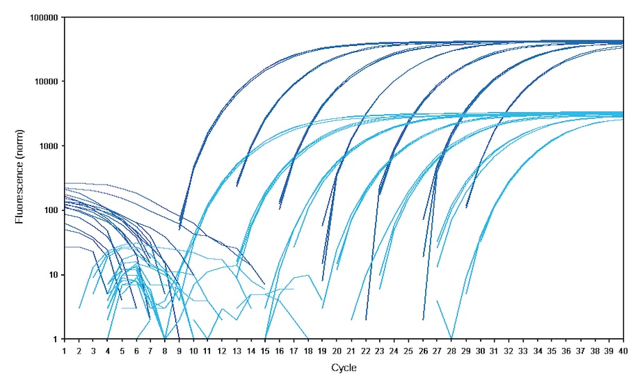 Comparison of Reflection between white and frosted wells 1 Fluorescence intensity graph in Eppendorf twin.tec® real-time PCR plates