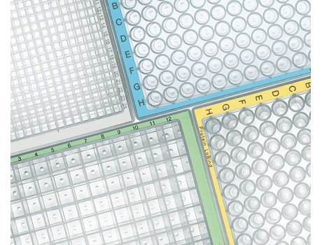 Eppendorf Deepwell Plates