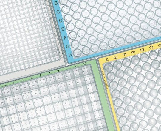 Eppendorf Deepwell plates with a variety of coloured borders