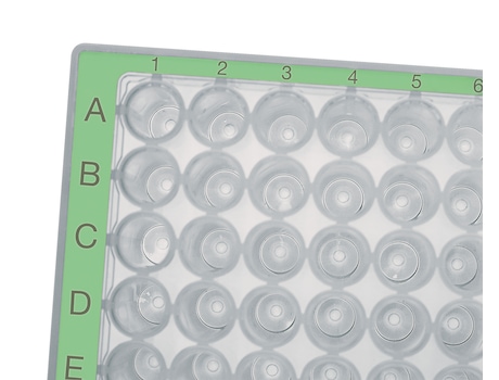 Eppendorf Deepwell Plates