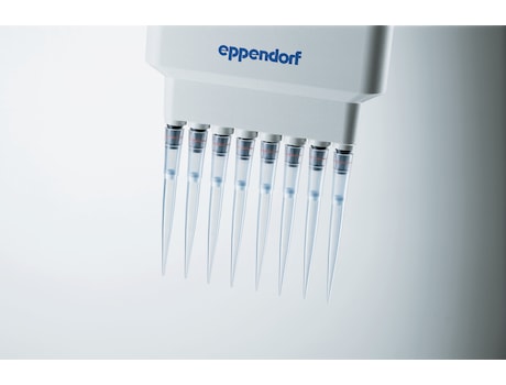 ep&nbsp;Dualfilter&nbsp;T.I.P.S.<sup>&reg;</sup>&nbsp;pipette tips attached to an Eppendorf multi-channel pipette