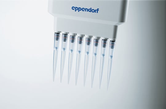 ep Dualfilter T.I.P.S.® pipette tips attached to an Eppendorf multi-channel pipette