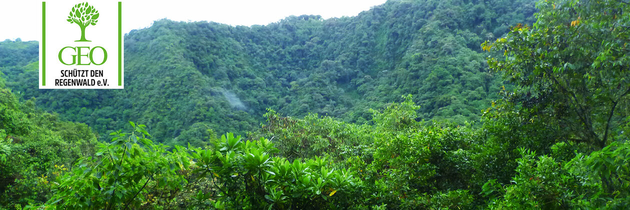 Rainforest-Protection epPoints <sup>&reg;</sup> Donation